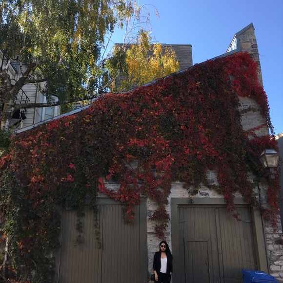 Meet your Posher, Vanessa - Picture 2 of 11